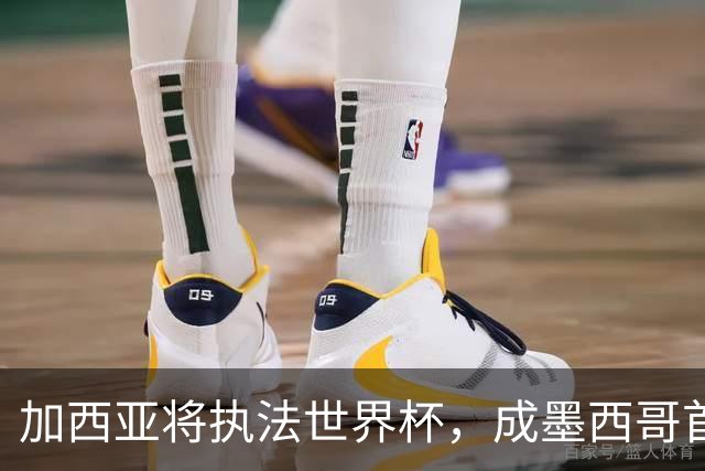 加西亚将执法世界杯，成墨西哥首位在男足世界杯担任这一职务女性
